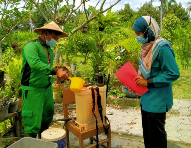 UJI KOMPETENSI PSKK 2021 SKEMA PEMBUDIDAYA TANAMAN DI TUK SMKN 1 SALAM JAWA TENGAH