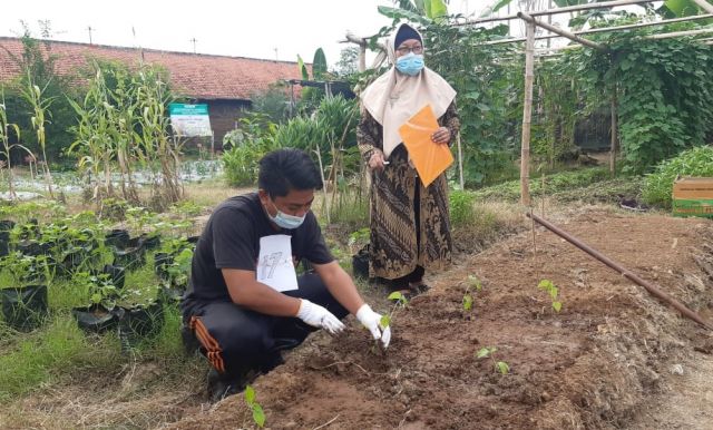 UJI KOMPETENSI PSKK 2021 SKEMA PENANGKARAN BIBIT SAYURAN DI TUK UNIVERSITAS SLAMET RIYADI